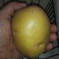 Profile picture of NormalHuman