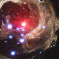 Profile picture of Pandora