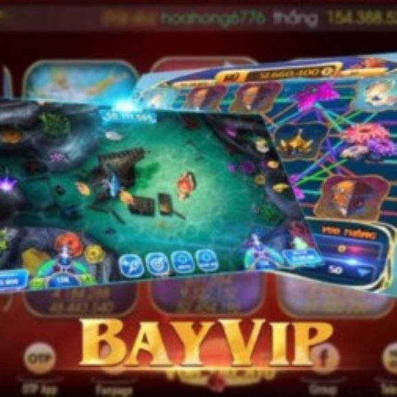 Profile picture of Bayvip