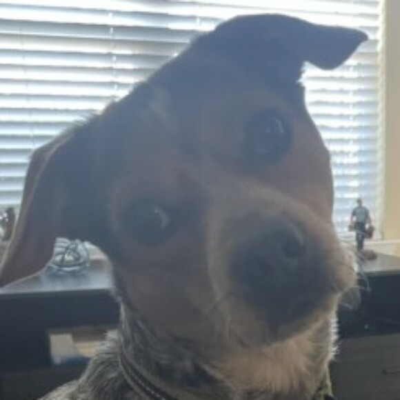 Profile picture of Ace