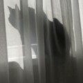Profile picture of Laura