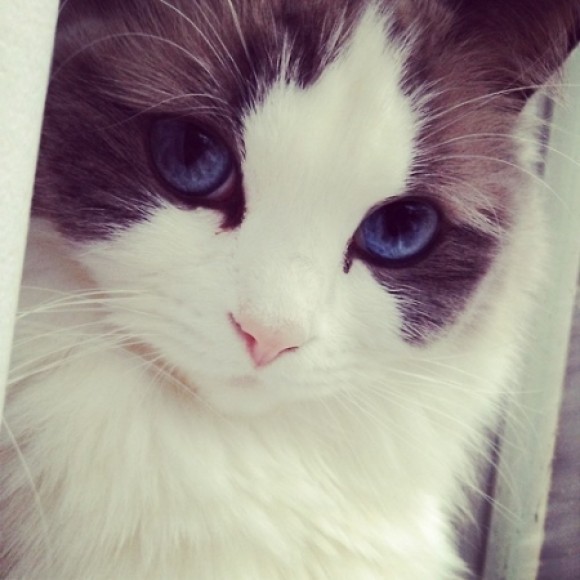 Profile picture of Victoria