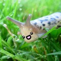 Profile picture of Slug