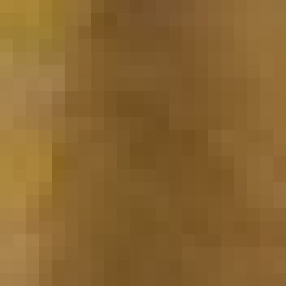 Profile picture of Jet Taylor