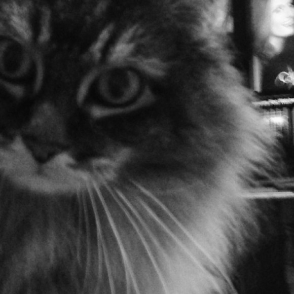 Profile picture of Gretchen