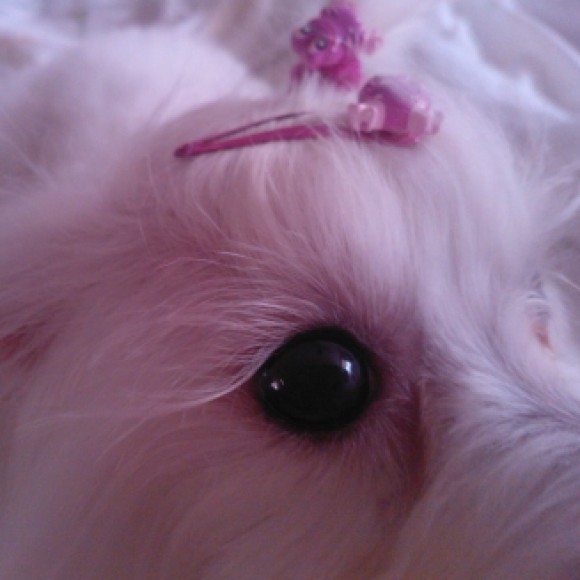 Profile picture of Maggy