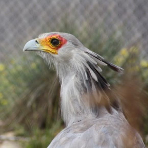 Profile picture of Nadia