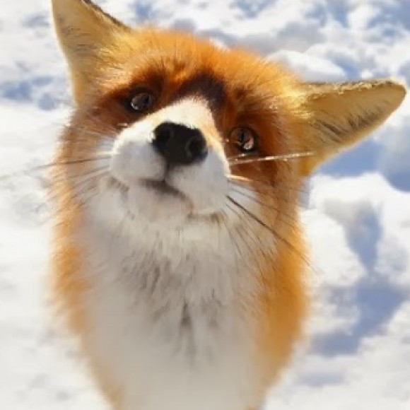 Profile picture of Perri