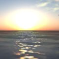 Profile picture of Want2BNLove