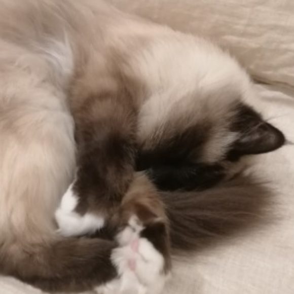 Profile picture of Ella