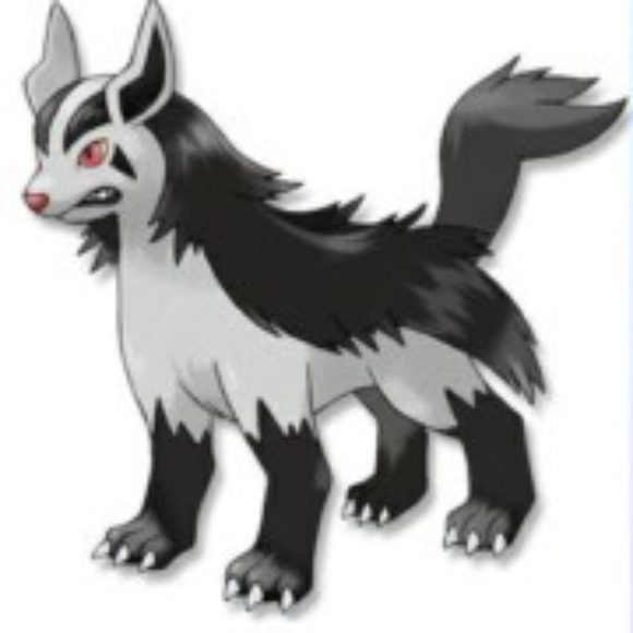 Profile picture of Tree Harmony