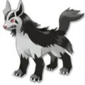 Profile picture of Tree Harmony