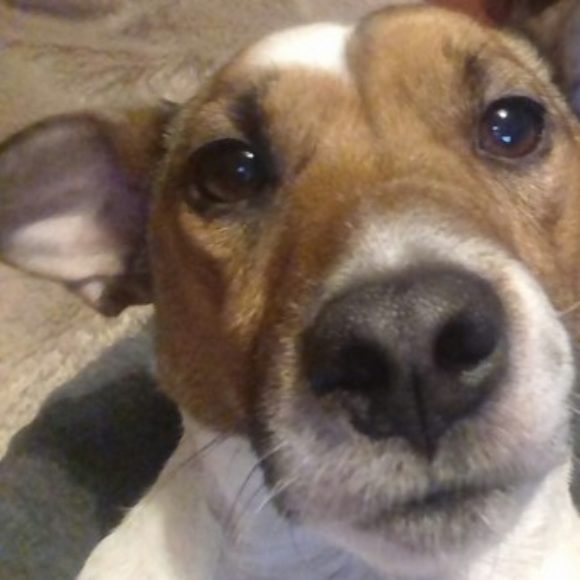 Profile picture of Elle