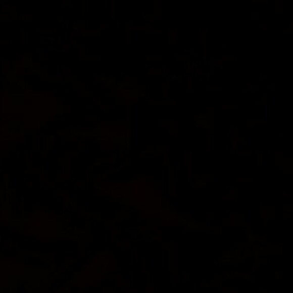 Profile picture of Hussy
