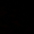 Profile picture of Hussy