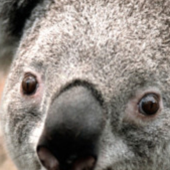 Profile picture of Tize
