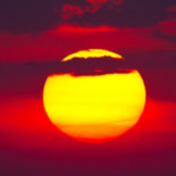 Profile picture of C. K.