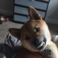 Profile picture of Savannah