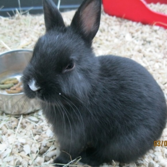 Profile picture of Elien