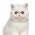 Profile picture of Michael