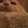 Profile picture of Alicia