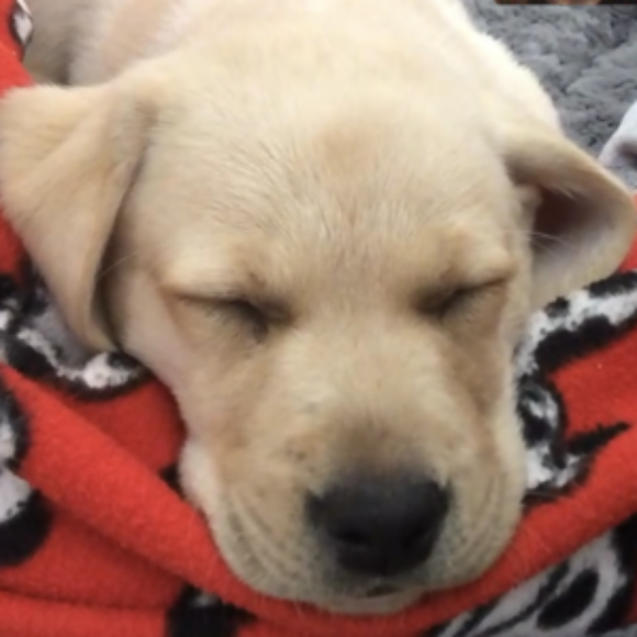 Profile picture of Ellie