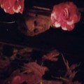 Profile picture of Melisa Jane