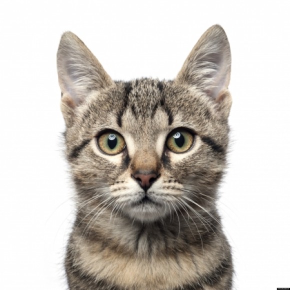 Profile picture of Dee
