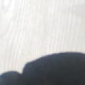 Profile picture of Ray low