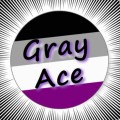 Group logo of Gray Aces